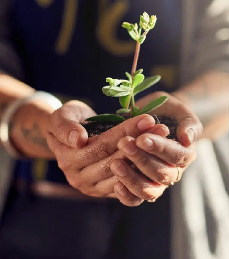 Nachhaltiges Wachstum für Selbständige und Unternehmer